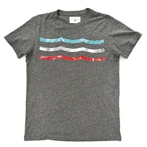 SOL ANGELES Sol Flag Waves Graphic T-Shirt